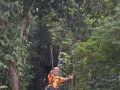 Tn DSC 4334